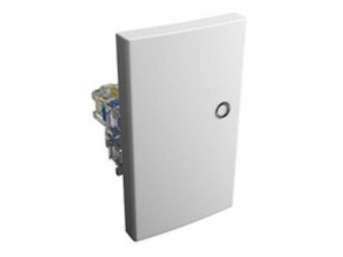 PULSADOR GRANDE CON NEON 10A BLANCO