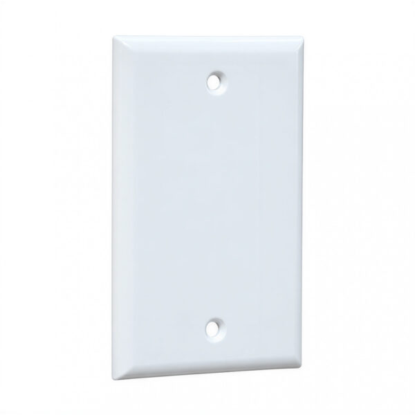 32780 tapa plástica 50×100 mm para instalaciones eléctricas