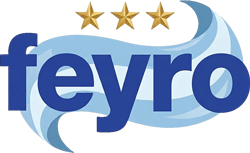 feyro logo mundial web